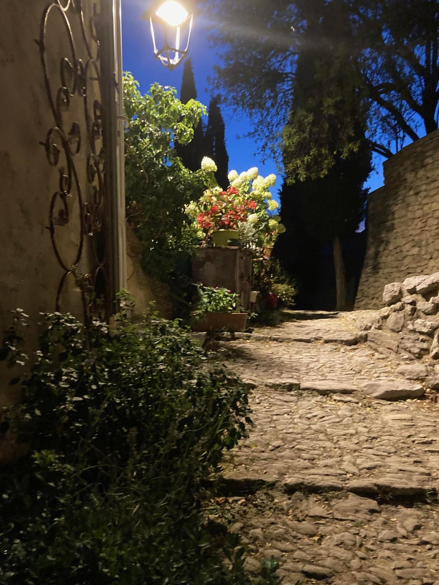 Les Magnolias Hotel Montbrun-les-Bains Luaran gambar